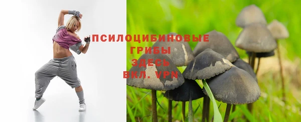 таблы Алзамай