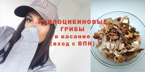 индика Переславль-Залесский