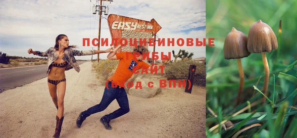 mdpv Абдулино
