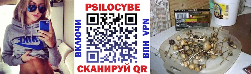 гидра зеркало  Гаврилов Посад  Галлюциногенные грибы MAGIC MUSHROOMS 